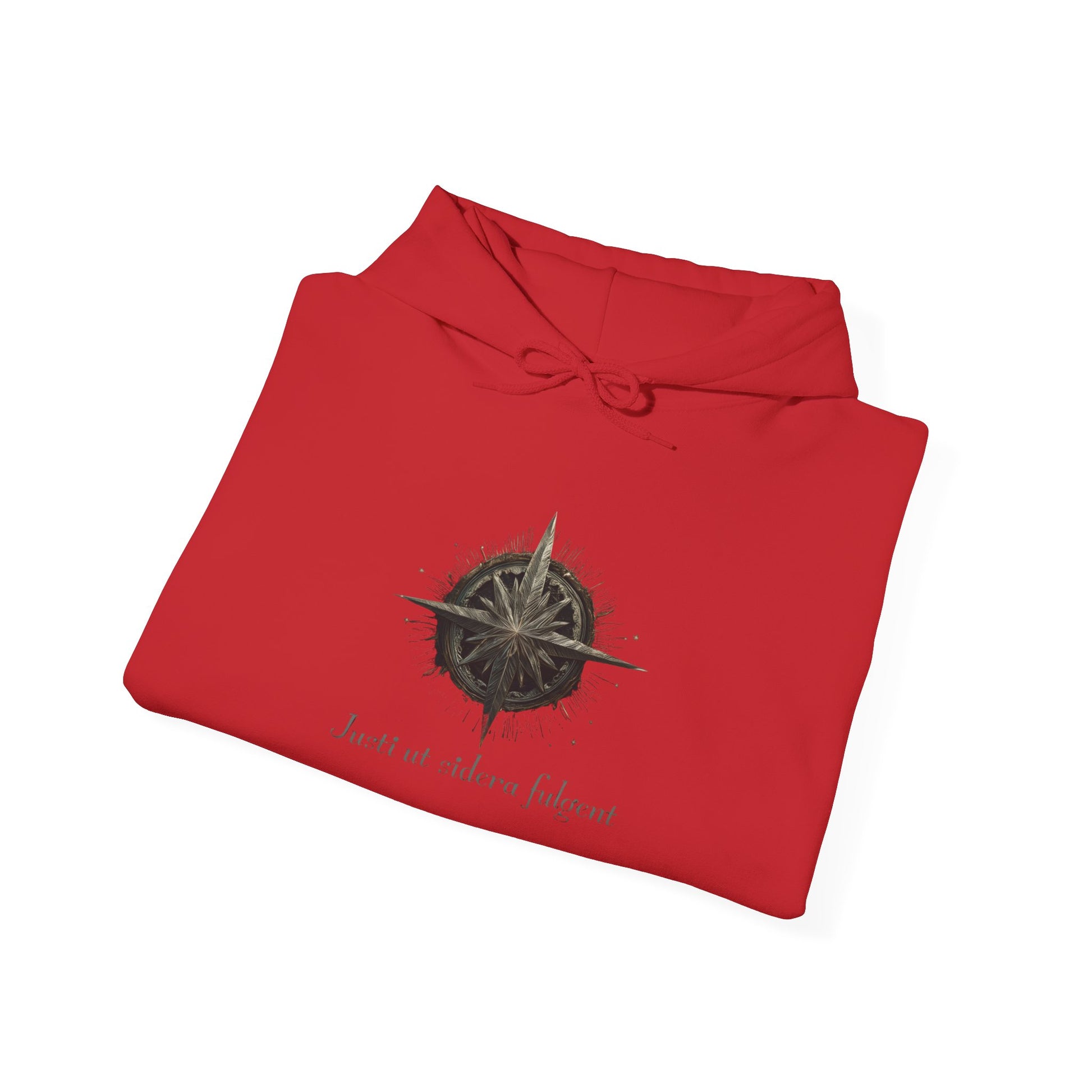 Stars of Justice Shine ™ Hooded Sweatshirt.
