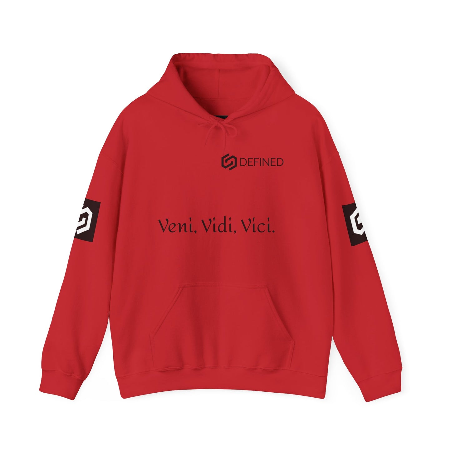 Veni, vidi, vici™ Hooded Sweatshirt.