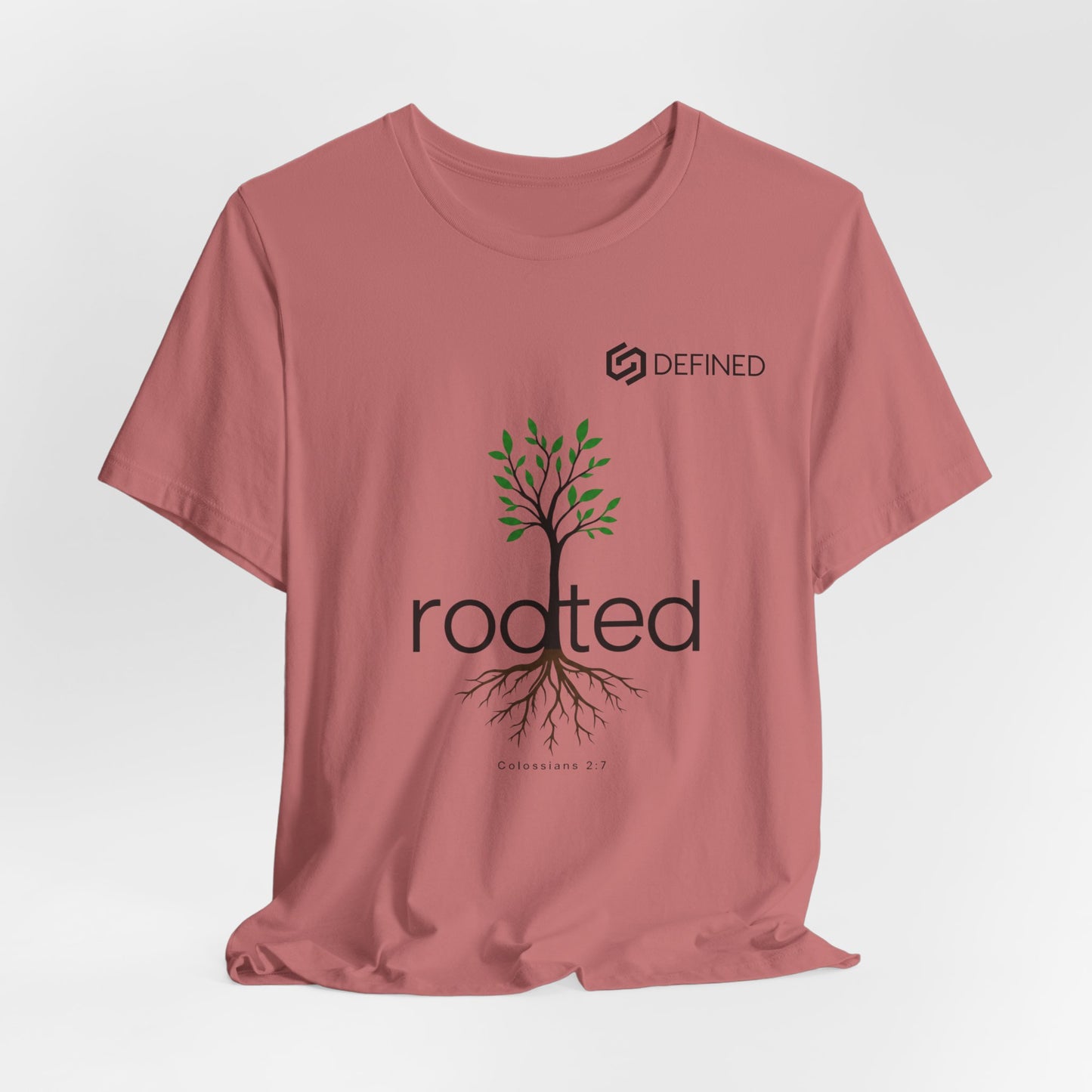 Rooted Tee | Colossians 2:7 Tree of Life Christian T-Shirt | Minimalist Faith Streetwear